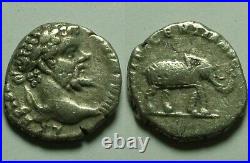 Genuine ancient Roman silver coin Septimius Severus denarius Elephant