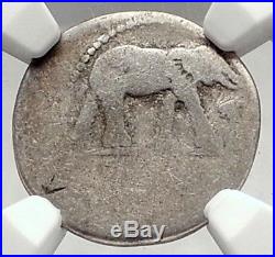 JULIUS CAESAR Authentic Ancient 49BC Silver Coin w ELEPHANT NGC Certified i72891