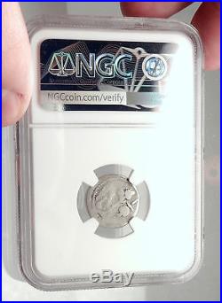 JULIUS CAESAR Authentic Ancient 49BC Silver Coin w ELEPHANT NGC Certified i72891