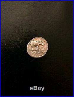 Julius CAESAR Ancient Denarius Silver Coin with Elephant 48 BC