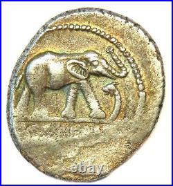 Julius Caesar AR Denarius Elephant Coin 49 BC. NGC Choice VF (Certificate)