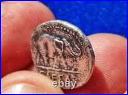Julius Caesar AR Denarius Silver Elephant Roman Coin 49 BC
