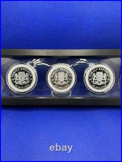 Lot of 3 X 1oz UNC 2023 Somalia Elephant Fine Silver, Colored & Gold Gilt Coin