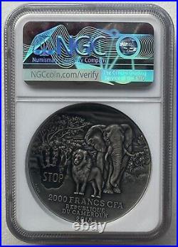 NGC MS70 Cameroon 2018 Cecil the Lion Elephant Silver Coin 2oz 2000 Francs