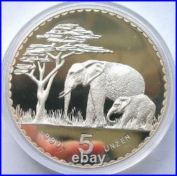 Namibia 1987 Elephant German Colonial 5oz Silver Coin, Proof