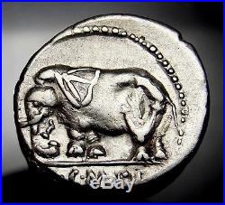 Nubian war elephant. Dictator SULLA. Famous Battle of Muthul. Silver coin. AU