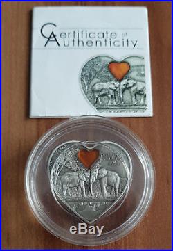 Palau 2013 Elephants Everything For You Amber Silver Coin