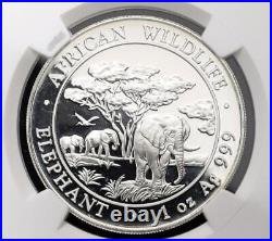 Quasi-Best Appraisal PCGS MS69 Somalia Elephant 2012