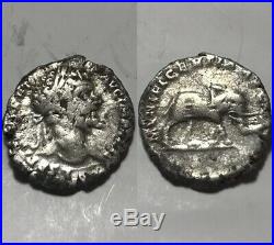 Rare original ancient Roman silver coin Septimius Severus denarius Elephant