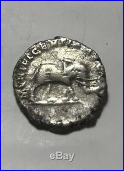 Rare original ancient Roman silver coin Septimius Severus denarius Elephant