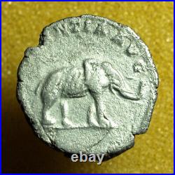 Roman Coin Septimius Severus Denarius AE25mm Bust / Elephant 04228