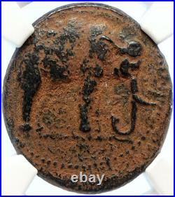 SELEUCID KING SELEUCUS I 300BC OLD Ancient Greek Silver Coin ELEPHANT NGC i97535