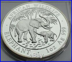 SOMALIA 2007 100 SHILLINGS ELEPHANT 1 Oz 999 SILBER SILVER PROOF RARE