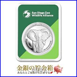 San Diego Zoo Elephant Sterling Silver Coin 1 Oz Blister Pack Gold And Piggy Ban