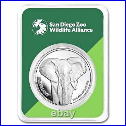 San Diego Zoo Elephant Sterling Silver Coin 1 Oz Blister Pack Gold And Piggy Ban