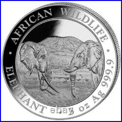 Silver Coin Somalia Elephant -5 Nail Gelish Soak Off 2020