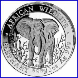 Silver Coins African Wildlife, Somalia Elephant 2004 Prestige Set