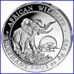 Silver Coins African Wildlife, Somalia Elephant 2009 Prestige Set