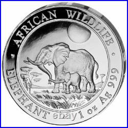Silver Coins African Wildlife, Somalia Elephant 2011 Prestige Set