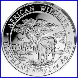 Silver Coins African Wildlife, Somalia Elephant 2012 Prestige Set