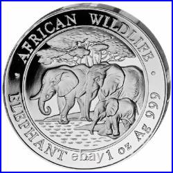 Silver Coins African Wildlife, Somalia Elephant 2013 Prestige Set