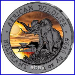 Silver Coins African Wildlife, Somalia Elephant 2016, Ruthenium