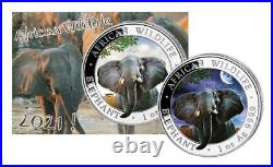 Silver Coins African Wildlife, Somalia Elephant 2021 Day And Night, Night