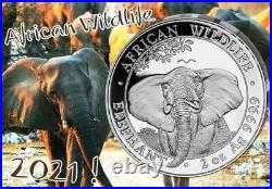 Silver Coins African Wildlife, Somalia Elephant 2021 Prestige Set