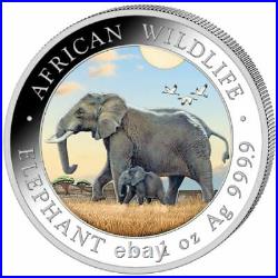 Somali 100 Shilling 2 Coin Set Silver Elephant Day And Night With Baby 2022