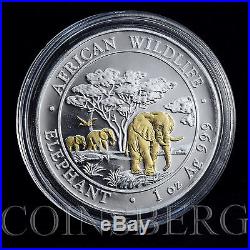 Somali 100 shillings African Wildlife Elephant 1oz Silver Gilded Coin 2012