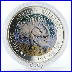 Somali 100 shillings African Wildlife series Elephant colored silver coin 2007