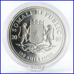 Somali 100 shillings African Wildlife series Elephant colored silver coin 2007