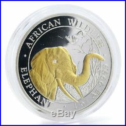 Somali 100 shillings Elephant gilded silver coin 2018