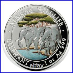 Somali Rep Elephants Drinking 100 Sh 2013 1 Oz Colored Silver Coin DM Prooflike
