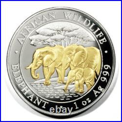 Somali Rep Elephants Drinking 100 Sh 2013 1 Oz Gilded Silver Coin DM Prooflike