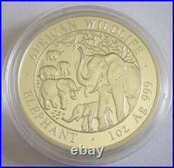 Somalia 100 Shillings 2008 Elephant 1 Oz Silver