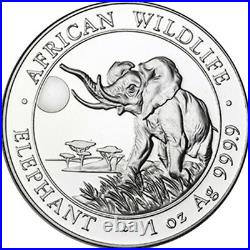 Somalia 100 Shillings 2016 Pf African Wildlife Elephant Silver Case