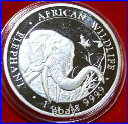 Somalia 100 Shillings 2018 Elephant #F4604 PP-Proof 1 Oz Silber Wildlife