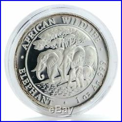 Somalia 100 shillings Elephant proof silver coin 2013