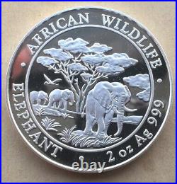 Somalia 2012 Elephant 200 Shillings 2oz Silver Coin, Proof