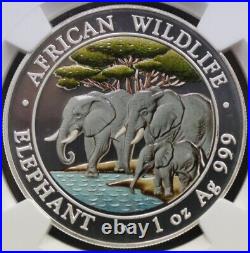 Somalia 2013 African Wildlife Elephant Colorized Silver Coin NGC 69