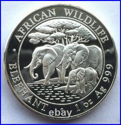 Somalia 2013 Elephant 100 Shillings 1oz Silver Coin, Proof