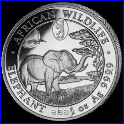 Somalia 2019 Elephant WMF Berlin Bear of Berlin silver coin 1 oz