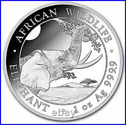Somalia 2023 One Ounce Silver Elephant Coin Keychain