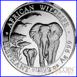 Somalia 3.75 oz ELEPHANT SOMALIAN AFRICAN WILDLIFE 2015 Coin Silver Set Proof