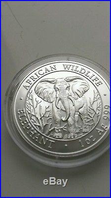 Somalia Elephant 2004 1oz Silver Key Date