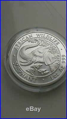 Somalia Elephant 2005 1oz Silver Key Date