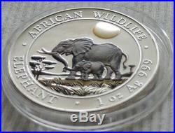 Somalia Elephant 2011 1 oz silver color coin African Wildlife Somali Elefant