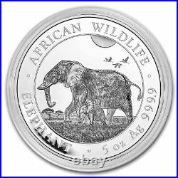 Somalia Elephant 2022 5 Oz Pure Silver Bu Coin In Capsule