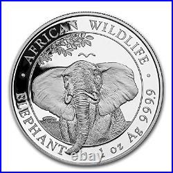 Somalian Elephant 2021 Silver Coin in Rimless Coin Capsule